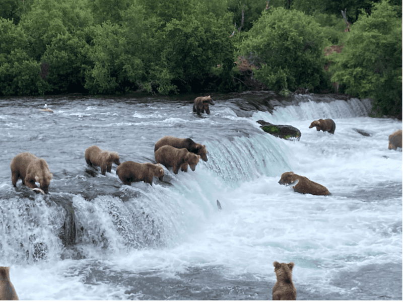 Katmai National Park