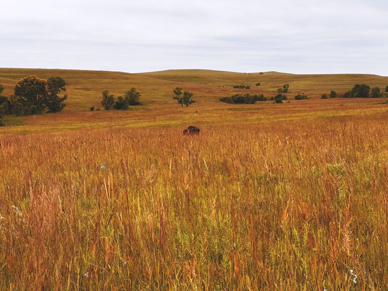 Tallgrass Prairie National Preserve, Kansas