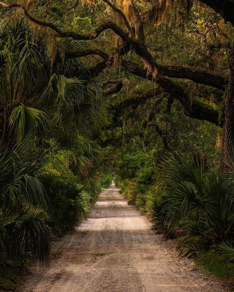 Cumberland Island, Georgia