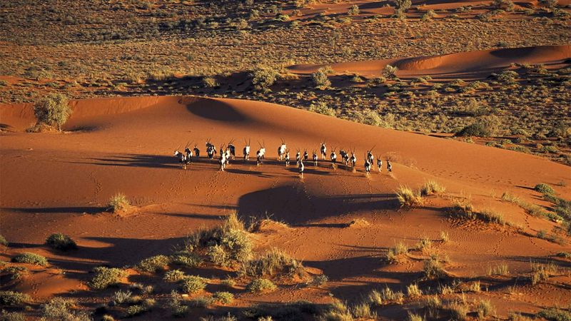 Kalahari Desert, Southern Africa