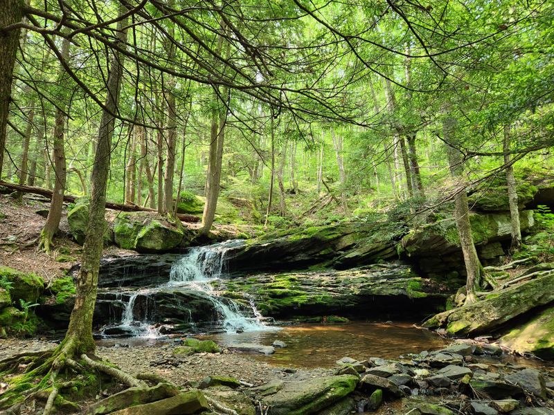 Allegheny National Forest, Pennsylvania