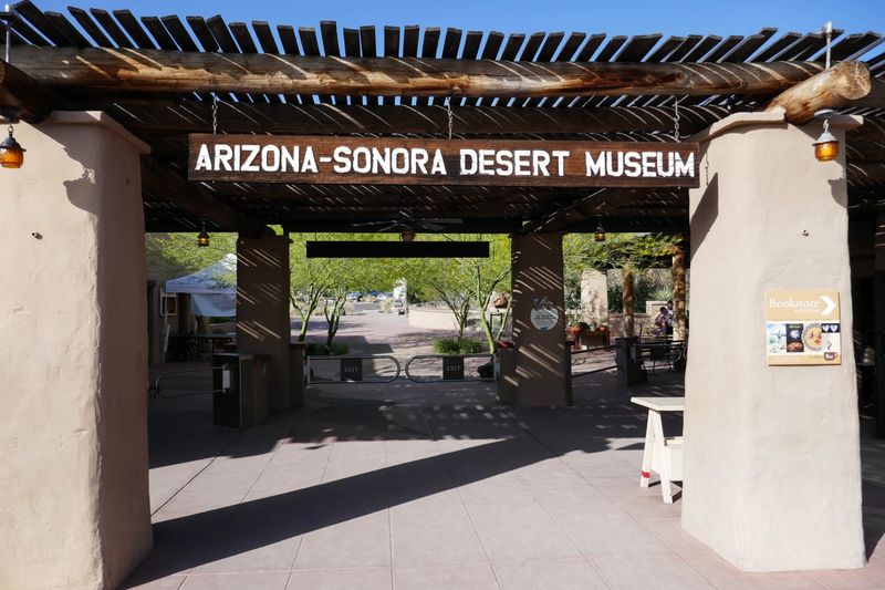 Arizona-Sonora Desert Museum