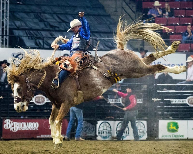 Rodeo Participation in Wyoming