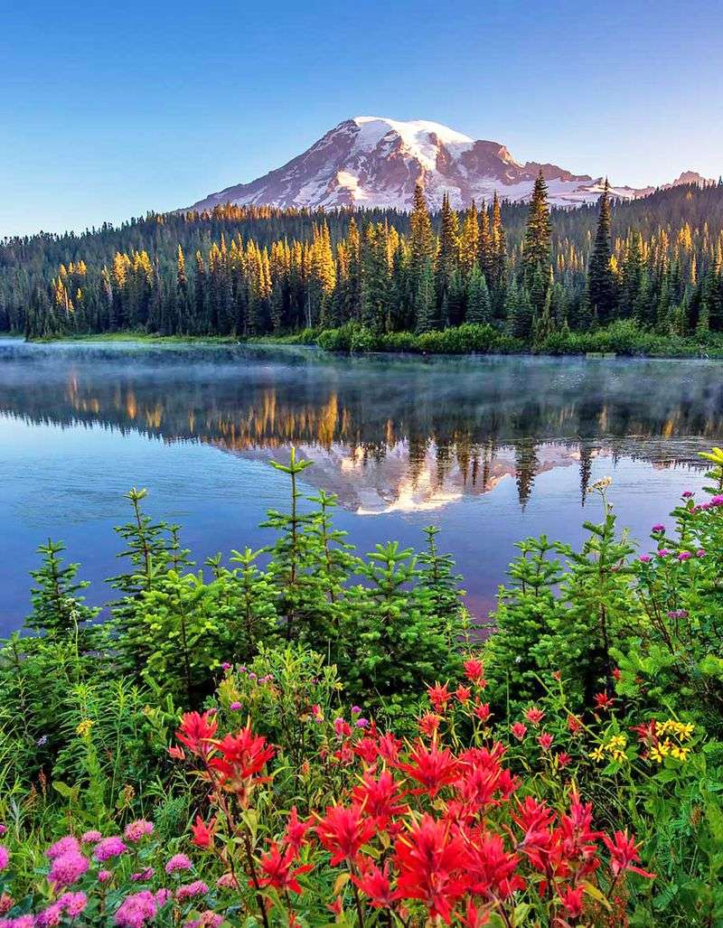 Mount Rainier National Park, Washington