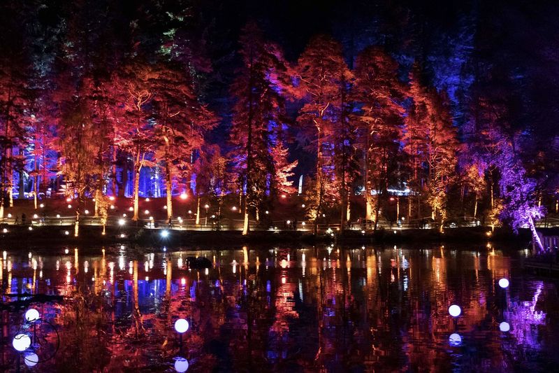 The Enchanted Forest, Scotland