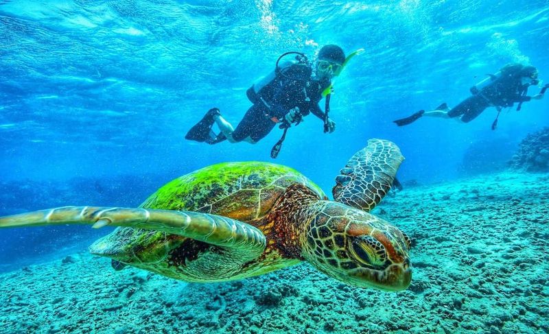 Florida Keys Scuba Diving