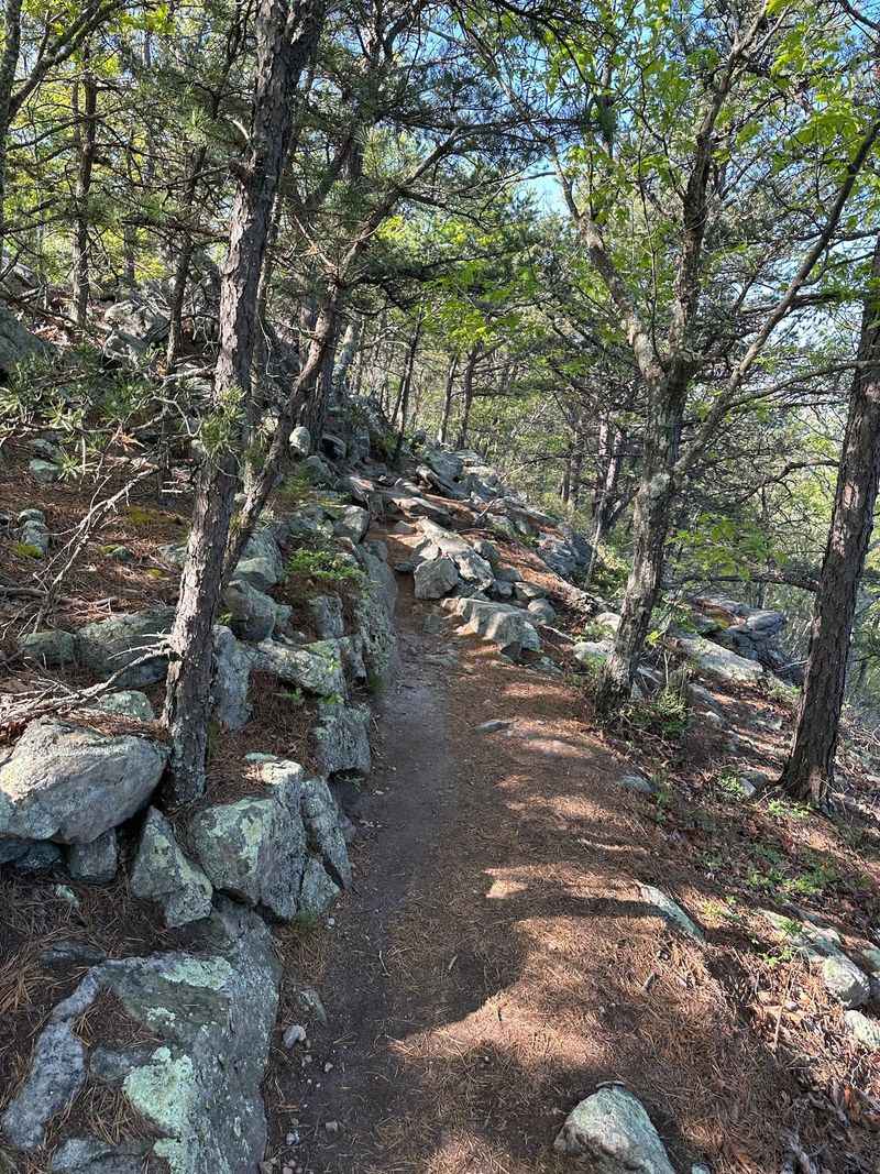 George Washington and Jefferson National Forests, Virginia