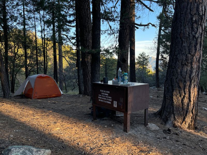 Juniper Basin Campground