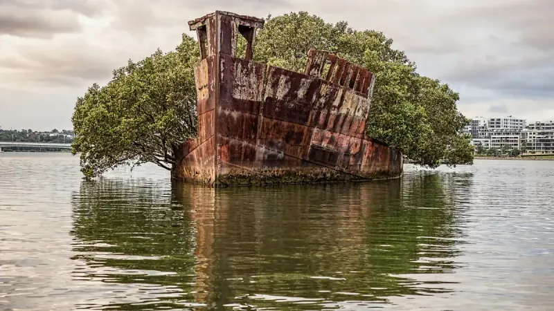 SS Ayrfield, Australia