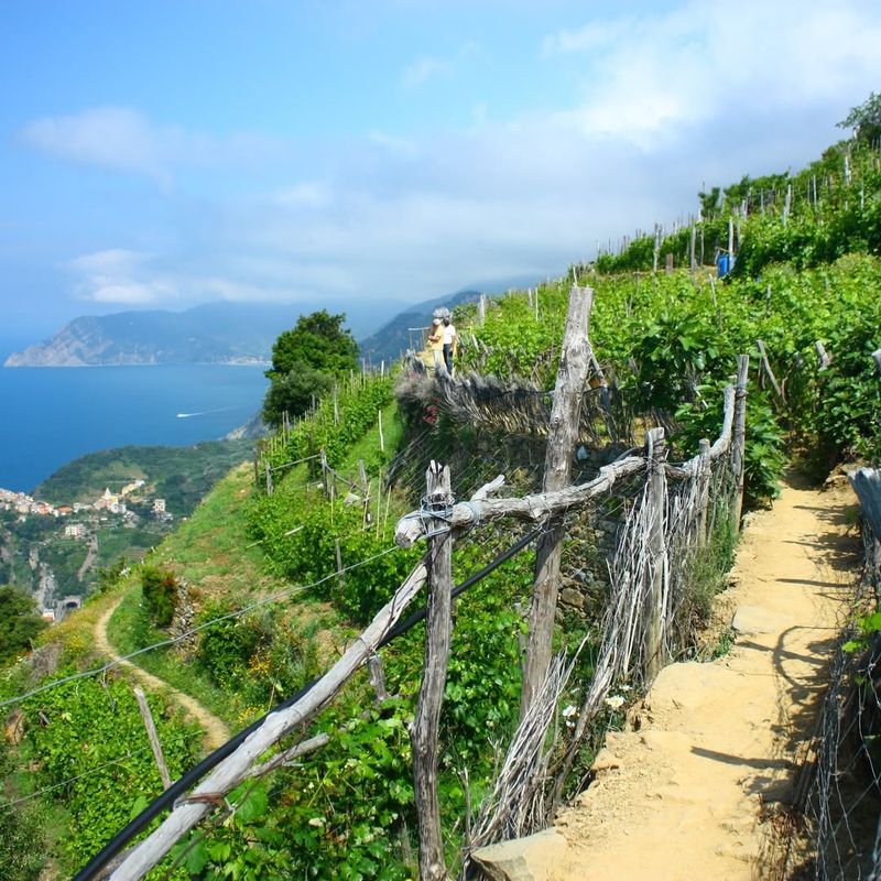 Cinque Terre Trail, Italy