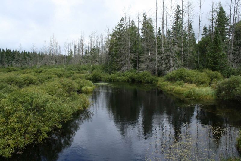 Chequamegon-Nicolet National Forest, Wisconsin