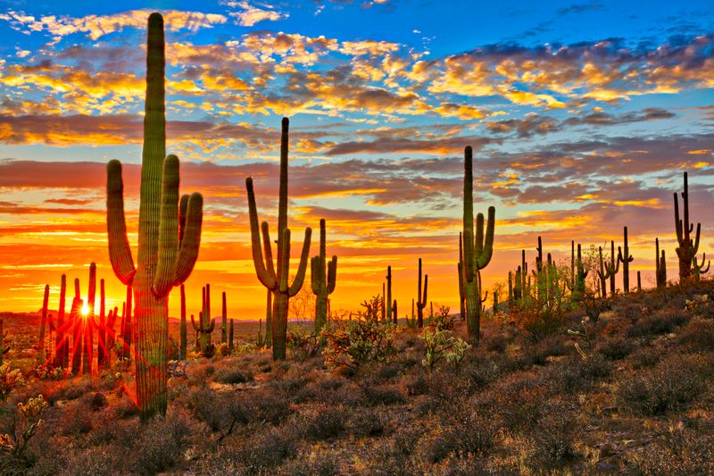 Tucson, Arizona