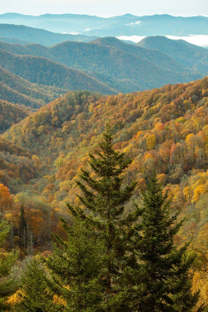 Great Smoky Mountains, Tennessee/North Carolina