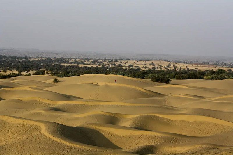 Thar Desert, India/Pakistan