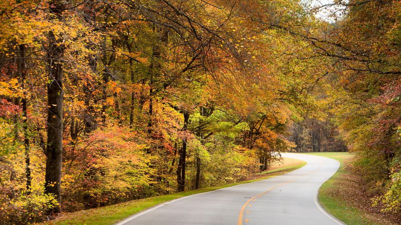 Natchez Trace Parkway, Mississippi to Tennessee