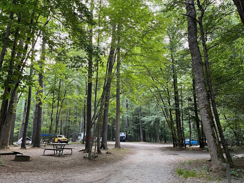 Cataloochee Campground