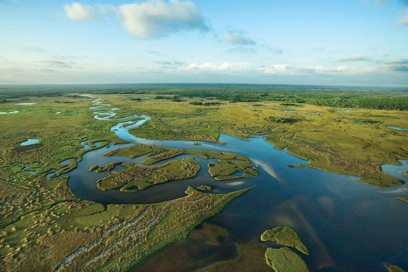 The Everglades