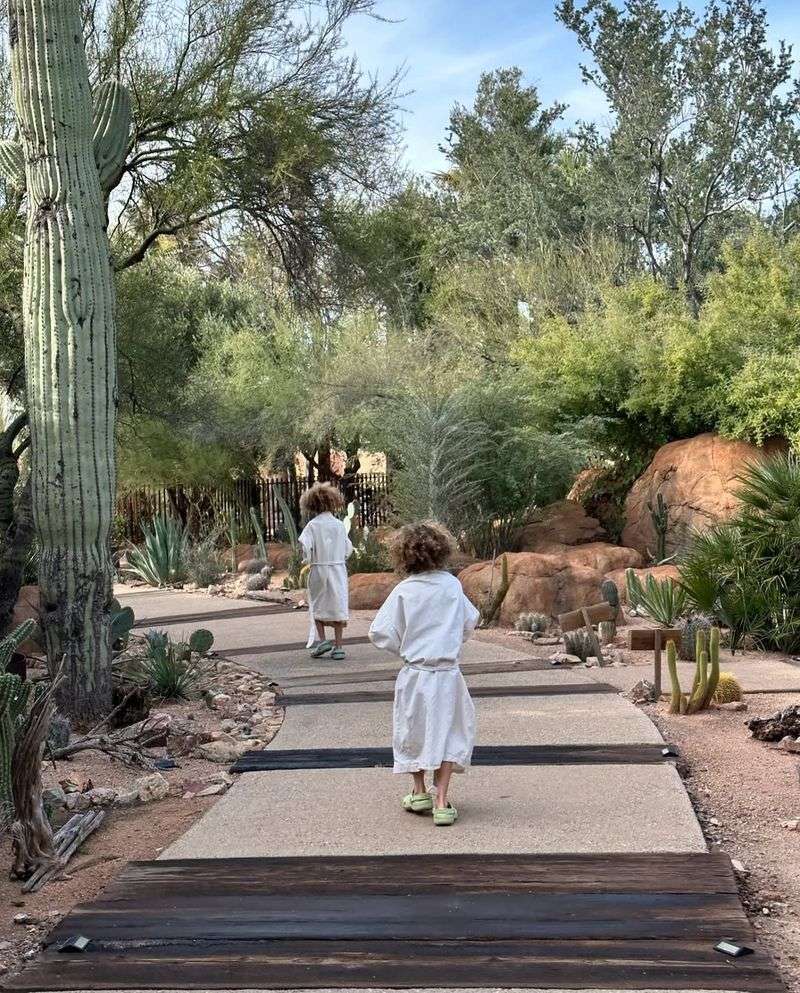 The Great Tucson Teapot Garden