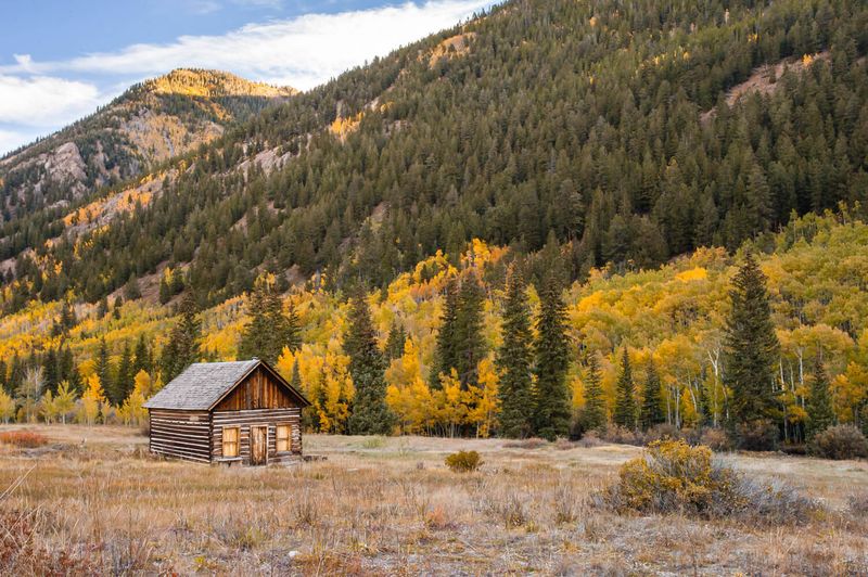 Discovering Ashcroft's Flora and Fauna