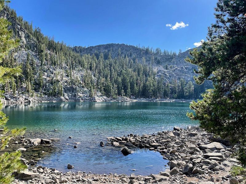 Shasta-Trinity National Forest, California