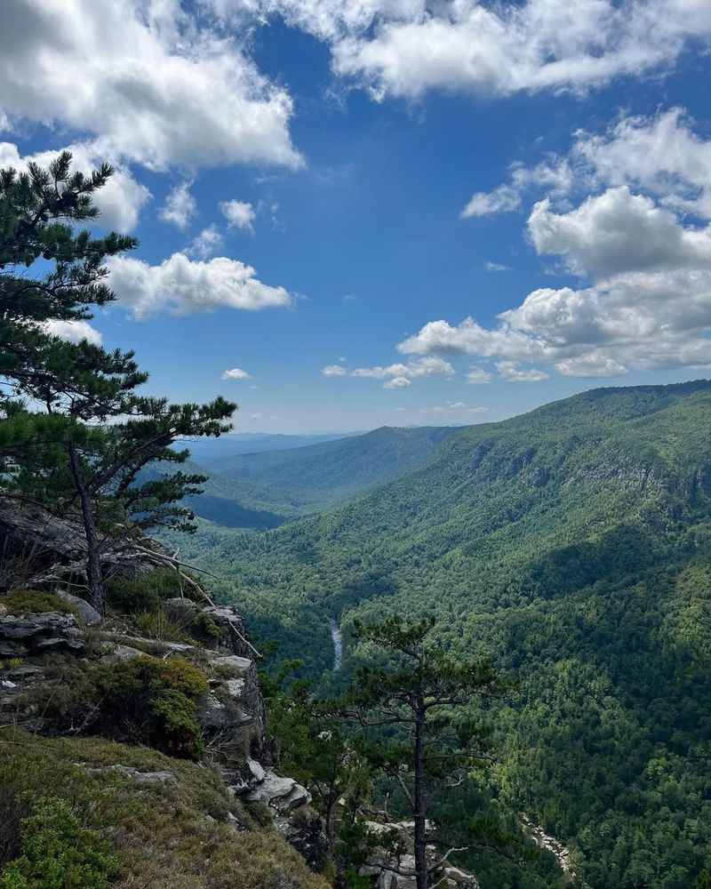 Linville Gorge