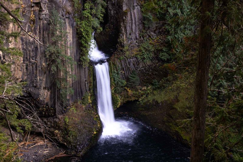 Umpqua National Forest, Oregon