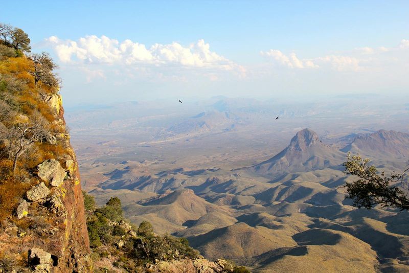 Chihuahuan Desert, USA/Mexico