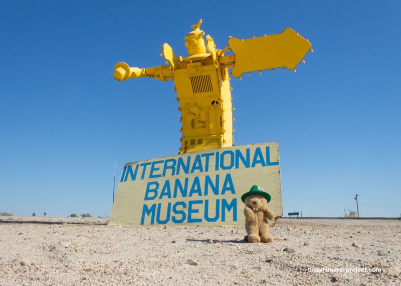 The International Banana Museum, California