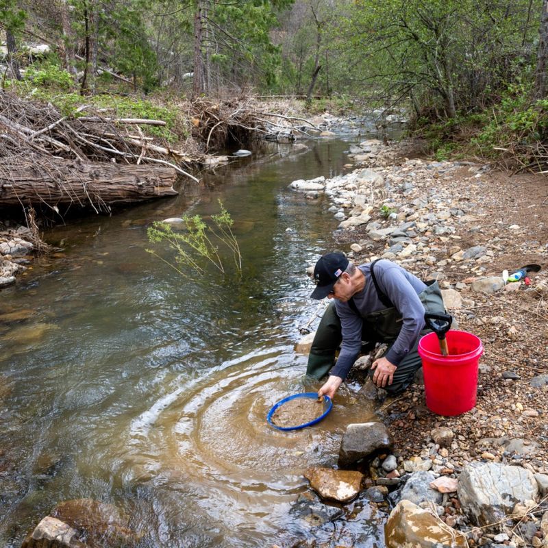 Gold Panning in California