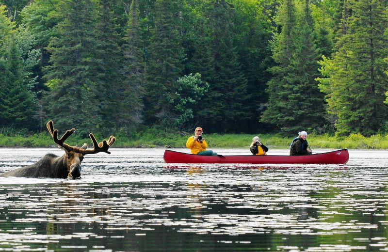 Canoeing in Canada's Algonquin Park