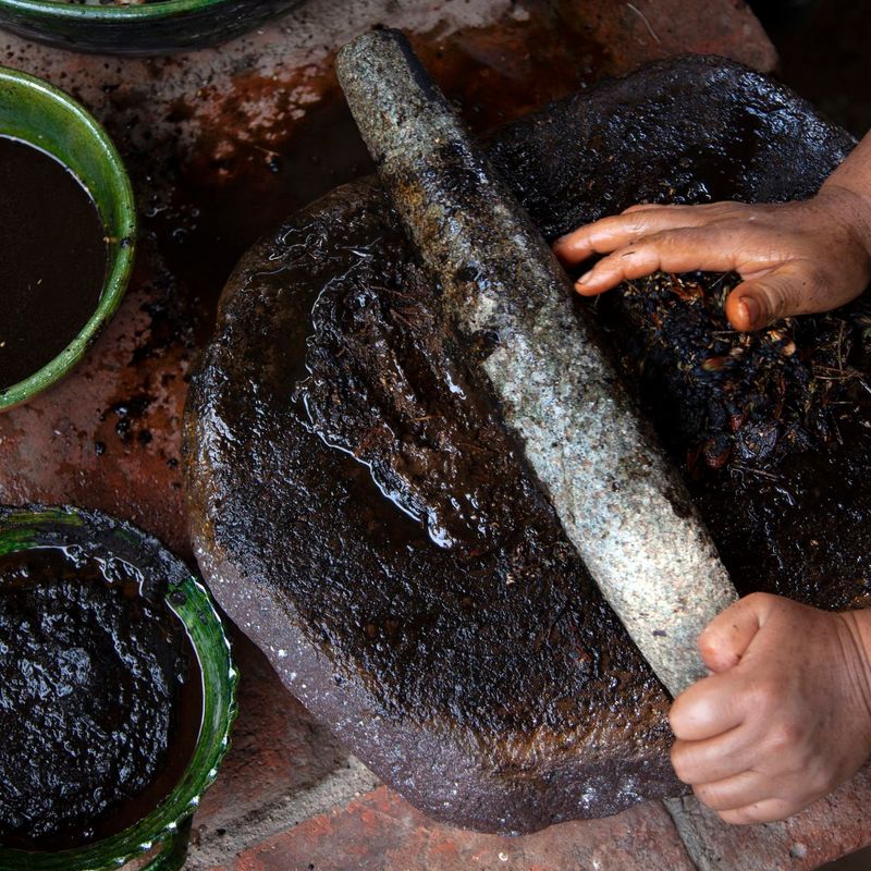 Taste Mole in Oaxaca