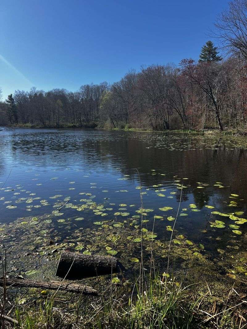 Branford Supply Ponds