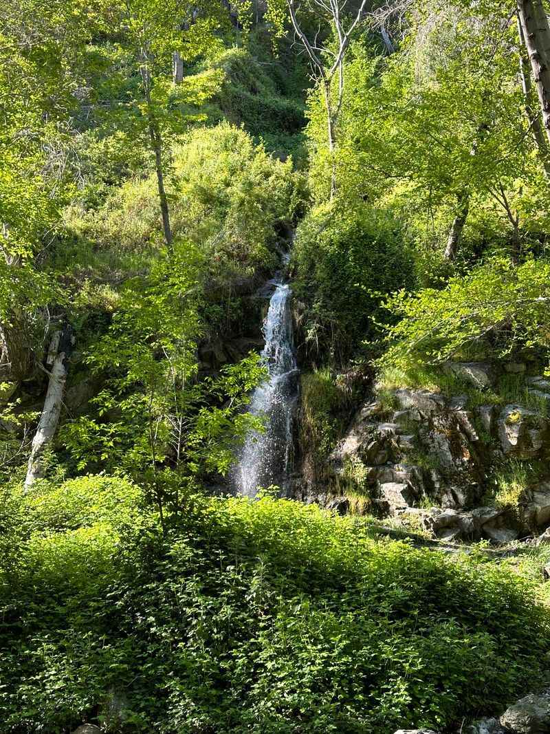 Angeles National Forest, California