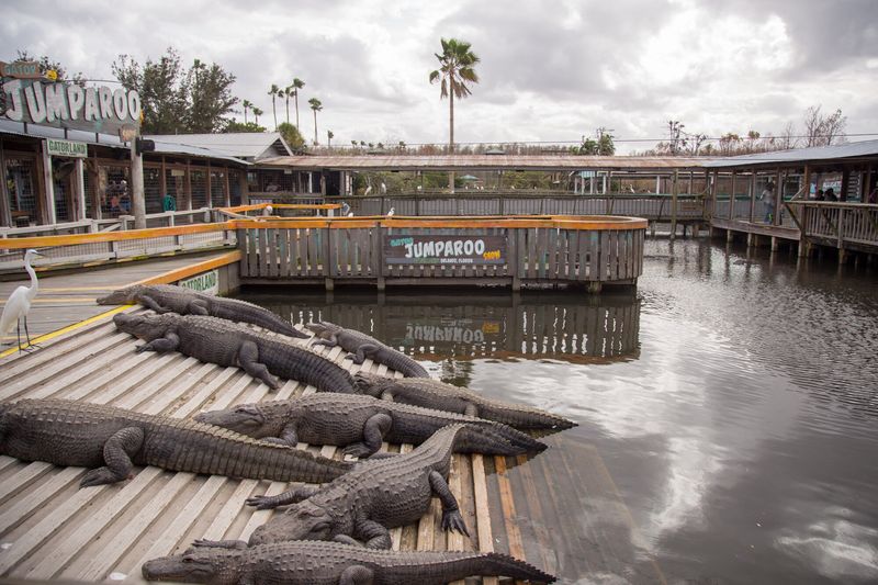 Gatorland