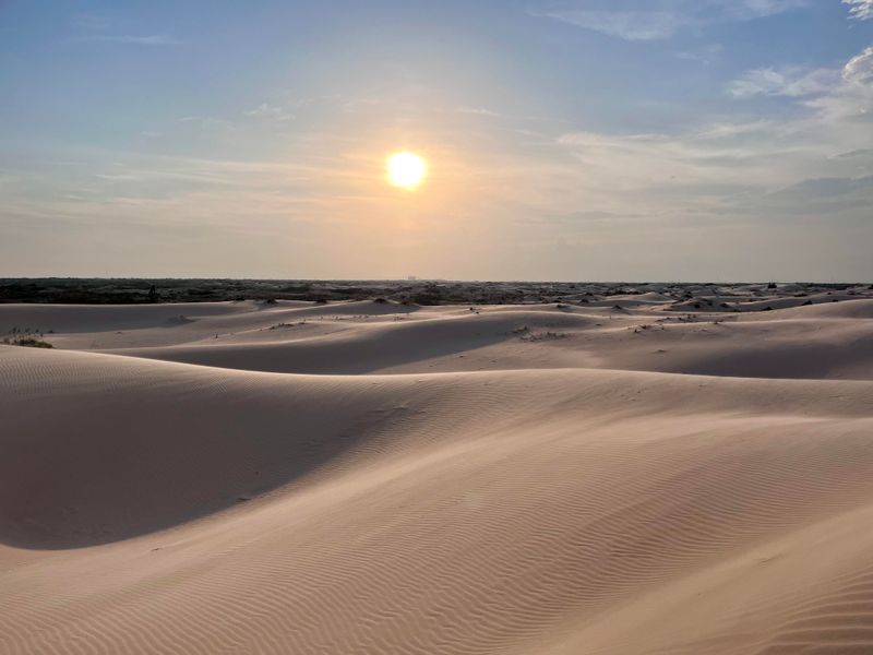 Monahans Sandhills State Park