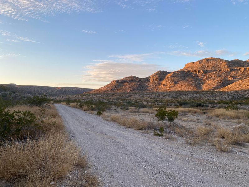 Black Gap Wildlife Management Area