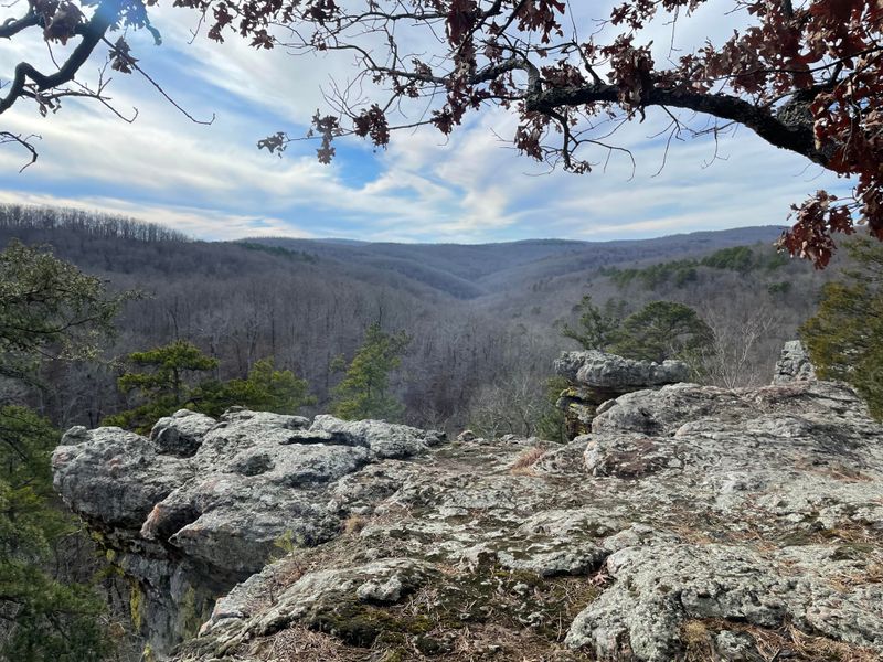 Ozark-St. Francis National Forest, Arkansas