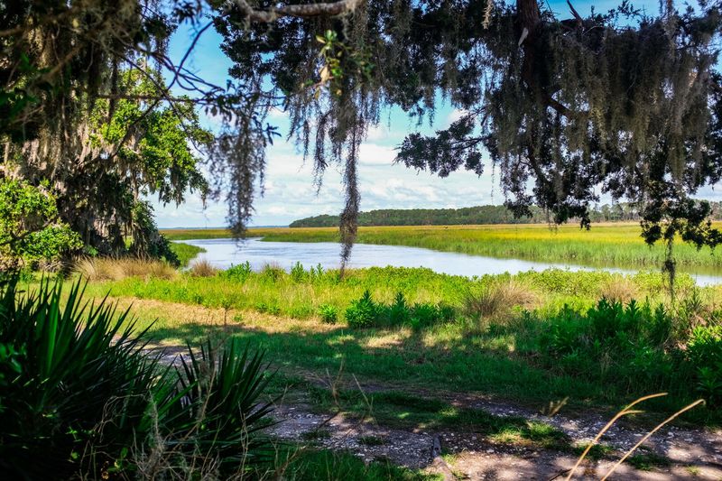 Sapelo Island, Georgia