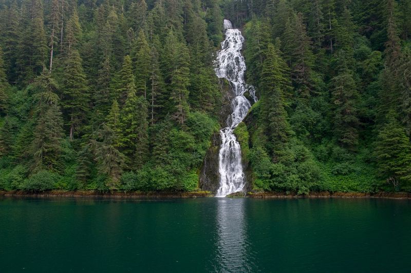 Tongass National Forest, Alaska