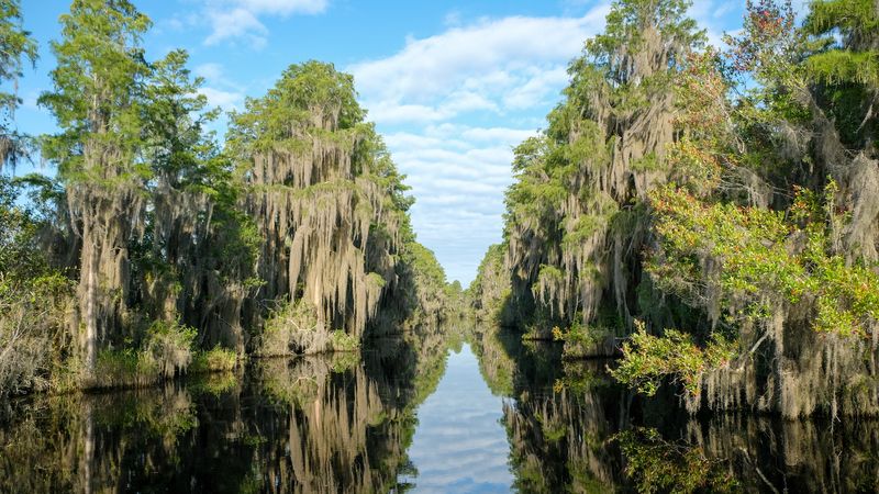 Okefenokee National Wildlife Refuge, Georgia