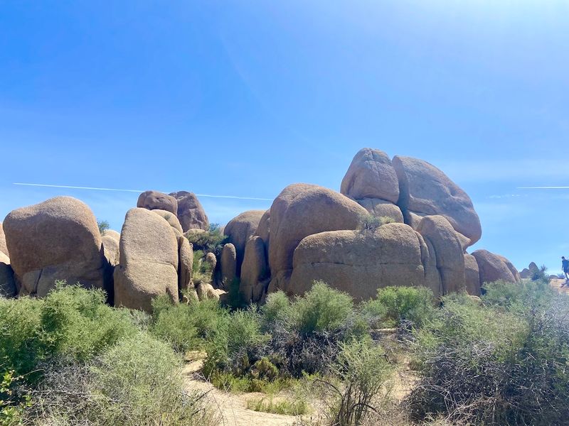 Joshua Tree Bouldering