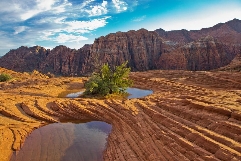 Snow Canyon State Park