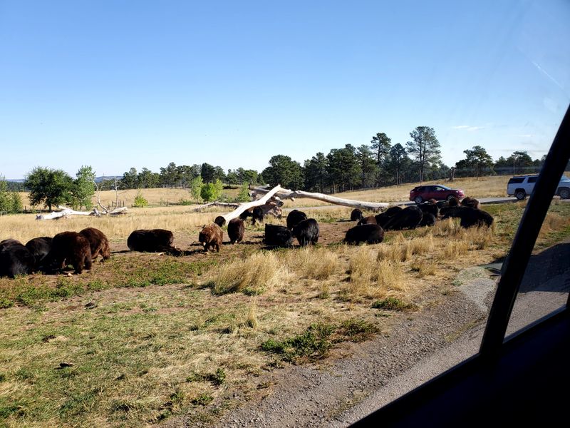 What to bring and what to leave