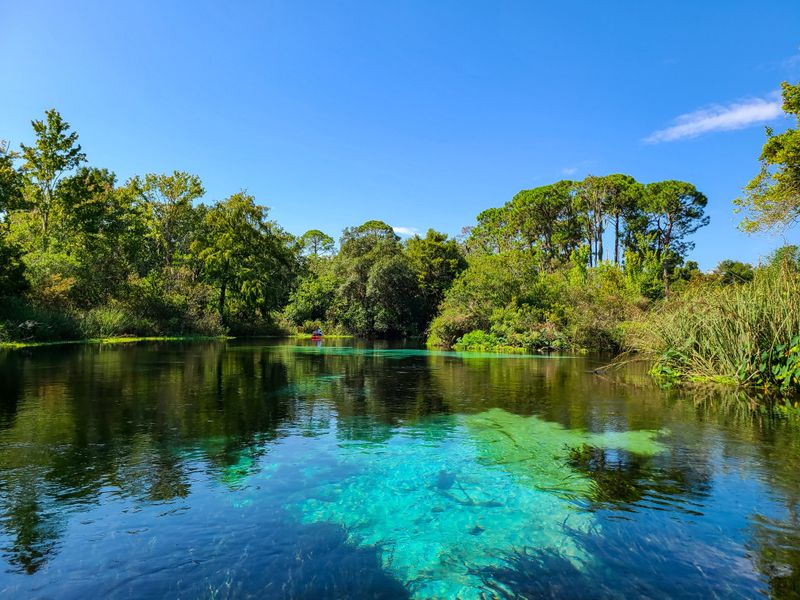 Weeki Wachee Springs