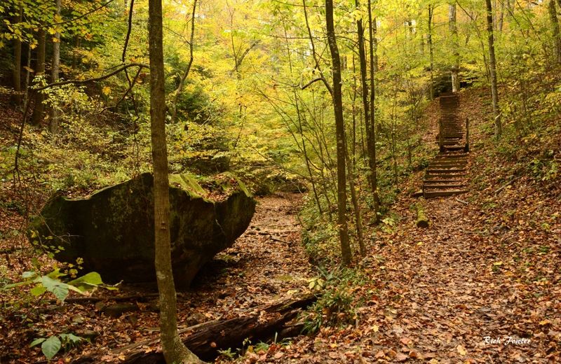 Hoosier National Forest, Indiana