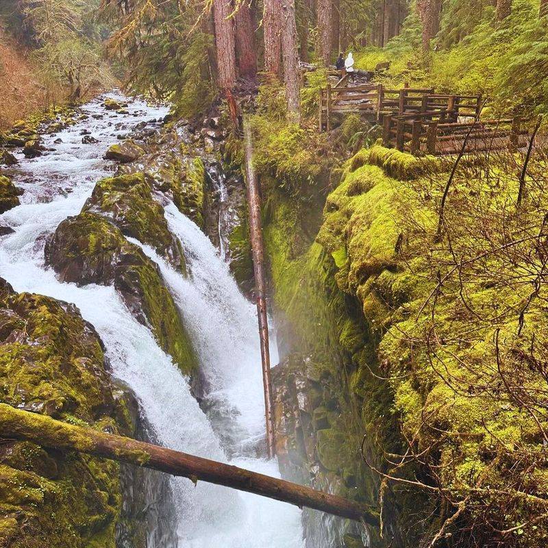 Olympic National Park, Washington