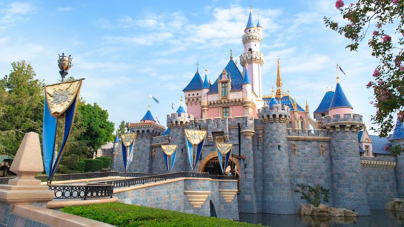 Sleeping Beauty Castle