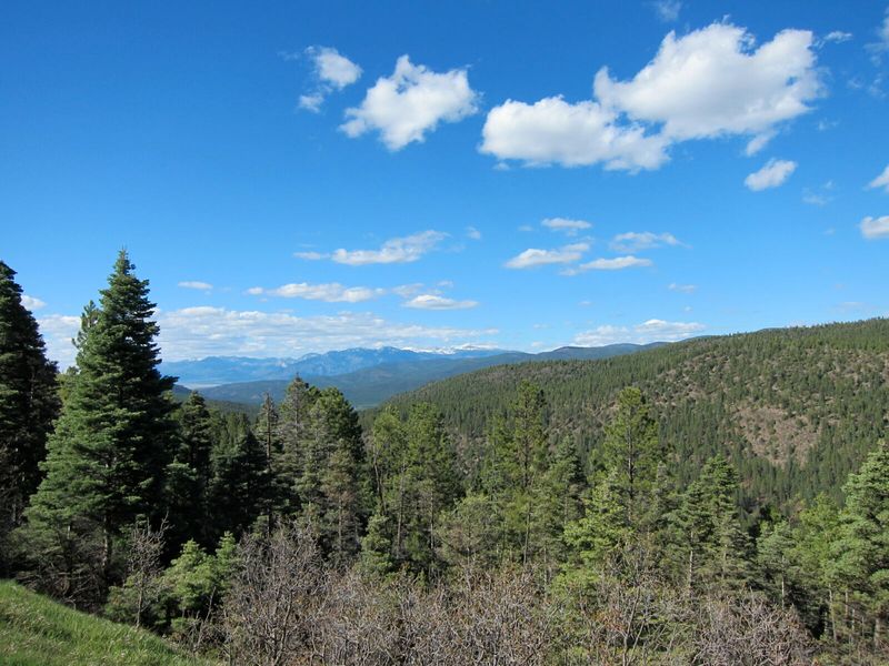 Carson National Forest, New Mexico