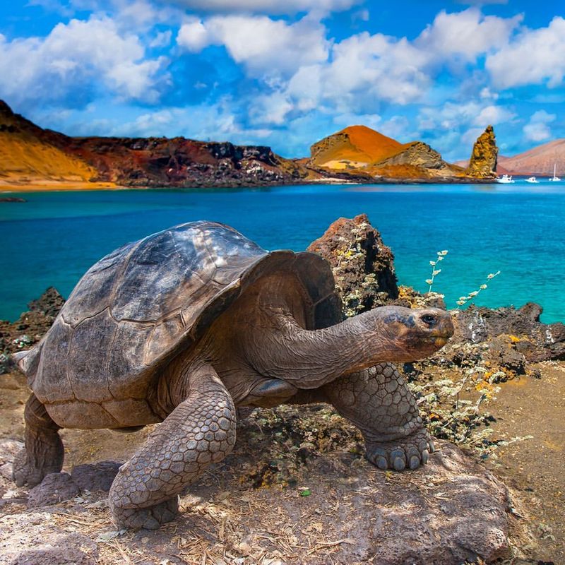 Galápagos Islands, Ecuador