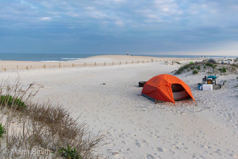 Assateague Island National Seashore